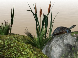 swamp assets Modello 3D