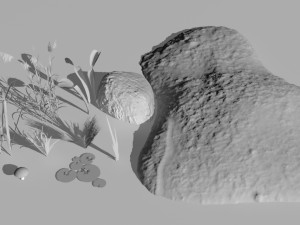 swamp assets Modello 3D