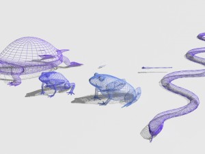 swamp assets Modello 3D
