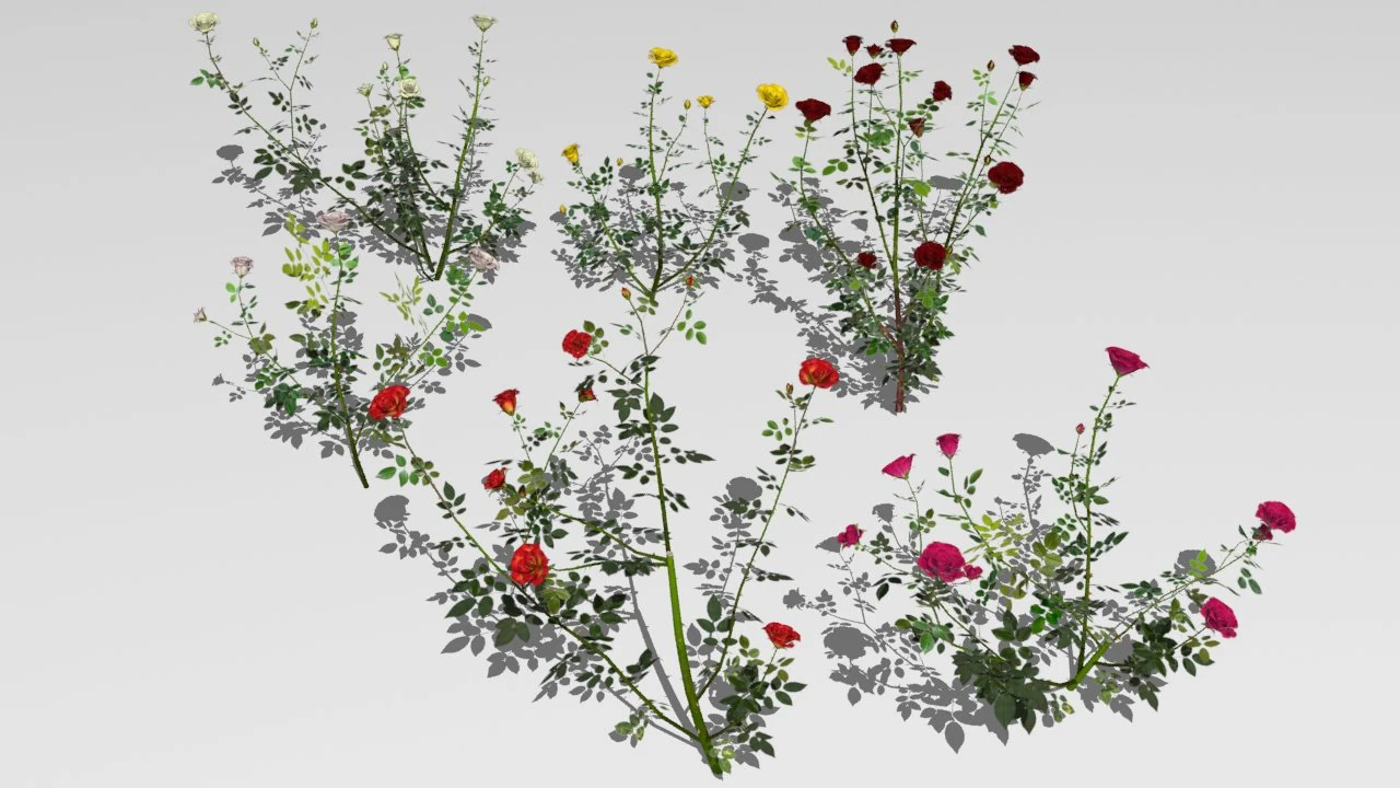 6 rose bushes 3D Model .c4d .max .obj .3ds .fbx .stl .blend 