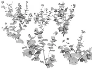 6 rose bushes 3D Model