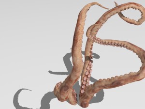 Tentacle 3Dモデル