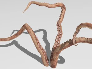 Tent&aacute;culo Modelo 3D