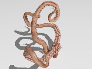 Tentacle 3Dモデル