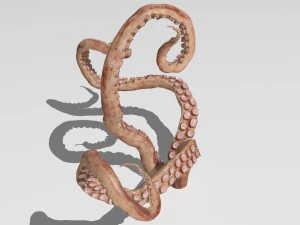 Tent&aacute;culo Modelo 3D