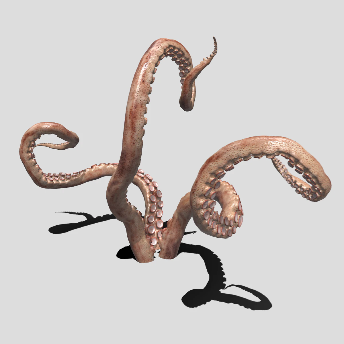 Tent&aacute;culo Modelo 3D .c4d .max .obj .3ds .fbx .stl .blend 