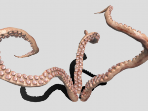 Tentacle 3Dモデル