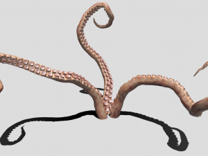 Tentacle 3Dモデル