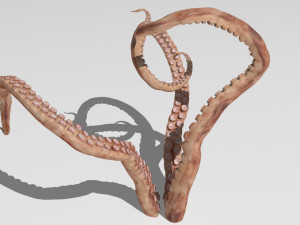 Tentacle 3Dモデル