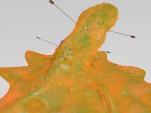 slime skeleton 3D Model