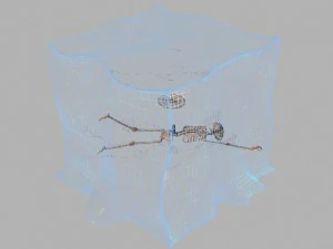 gelatinous cube 3D Model