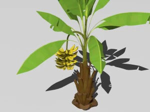 cartoon trees 3D Model
