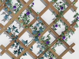 2 trellis 3D Model