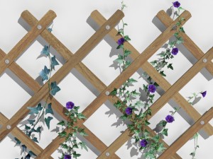 2 trellis 3D Model