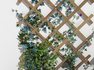 2 trellis 3D Model