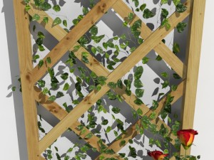 2 trellis 3D Model