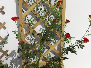 2 trellis 3D Model
