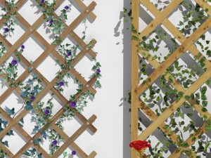 2 trellis 3D Model