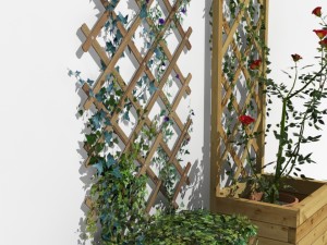 2 trellis 3D Model
