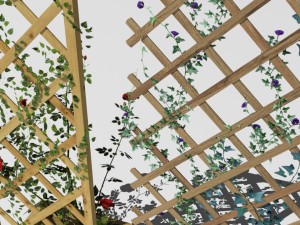 2 trellis 3D Model