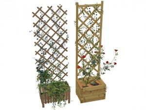 2 trellis 3D Model