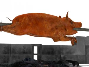spit roast 3D Model