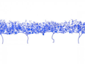 vineyard Modelo 3D