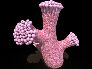 plantas alien&iacute;genas Modelo 3D