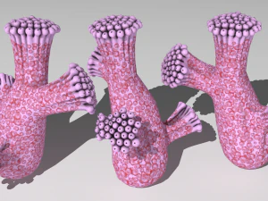 plantas alien&iacute;genas Modelo 3D