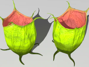 plantas alien&iacute;genas Modelo 3D