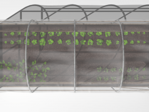 plastic greenhouse 3D Model