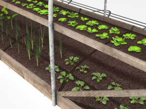 plastic greenhouse 3D Model
