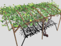 vine pergola Modelo 3D