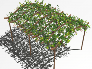 vine pergola Modelo 3D