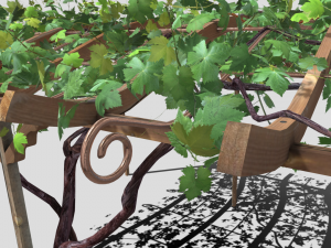 vine pergola Modelo 3D
