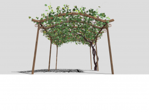 vine pergola Modelo 3D