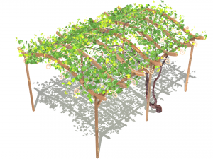 vine pergola Modelo 3D