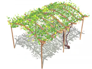 vine pergola 3D Model
