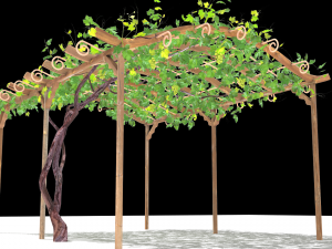 vine pergola Modelo 3D