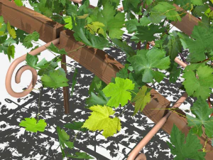 vine pergola 3D Model
