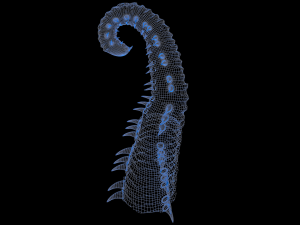 Worm tentacle Model 3D