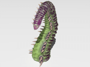 Worm tentacle Model 3D