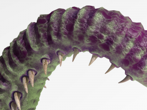 Worm tentacle Model 3D