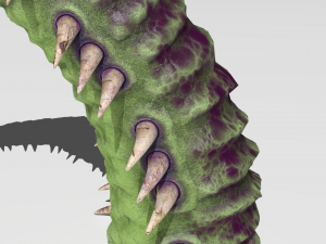 Worm tentacle Model 3D