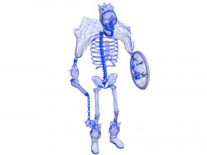 ice skeleton 3D 模型