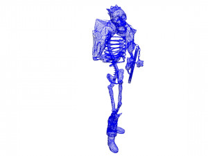 ice skeleton 3D 模型