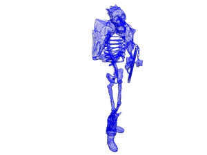 ice skeleton 3D Model