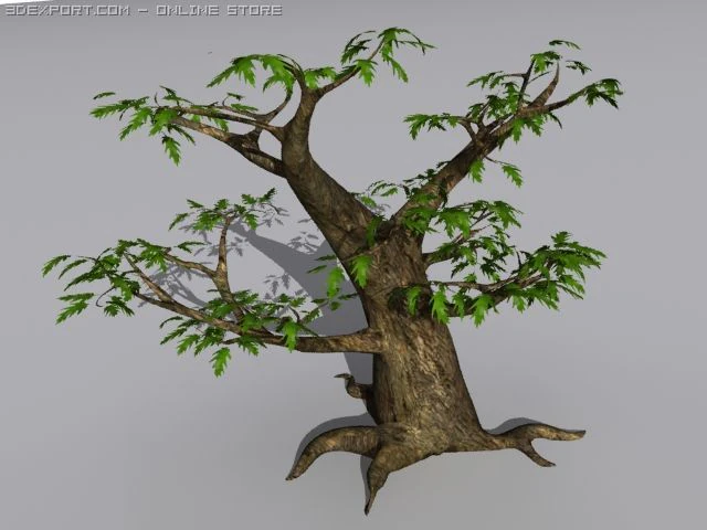 oak tree 3D Model .c4d .max .obj .3ds .fbx .stl .blend 