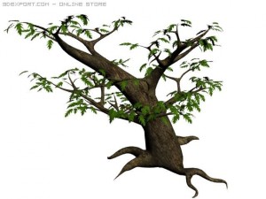 oak tree 3Dモデル