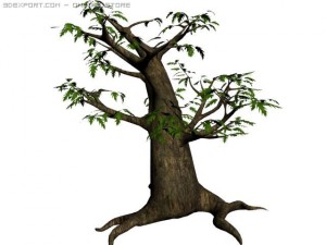 oak tree 3Dモデル